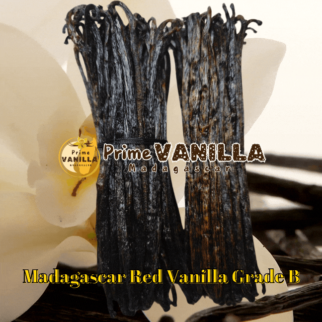 Madagascar Red Vanilla Bean Grade B