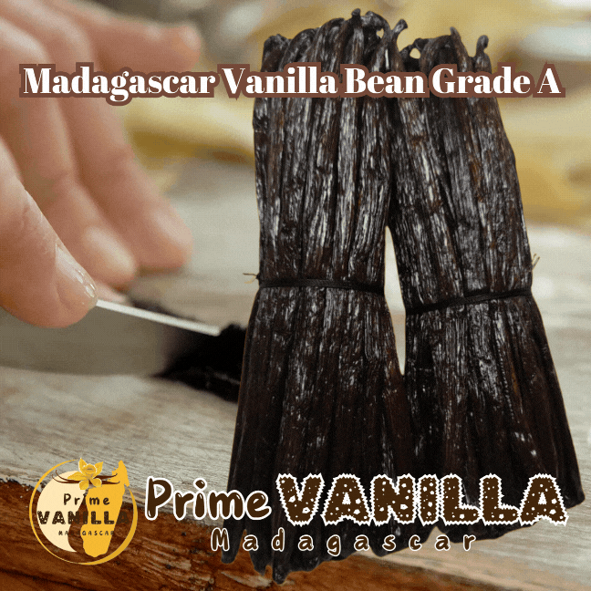 Madagascar Vanilla Bean Grade A